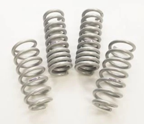 Saleen Silver Drop Springs 08-14 Dodge Challenger